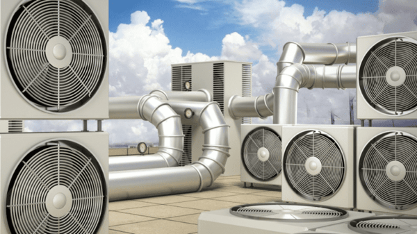 2016-12 - Fans
