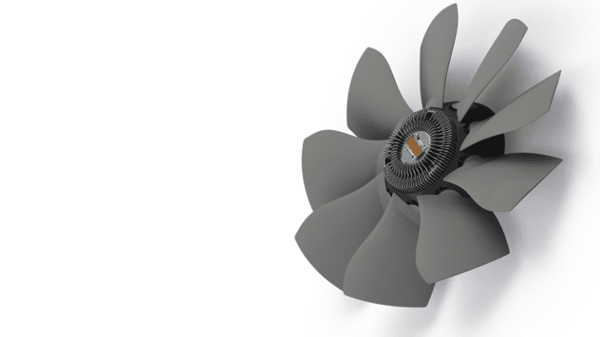 Fan