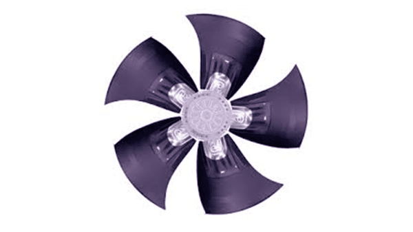 Fan
