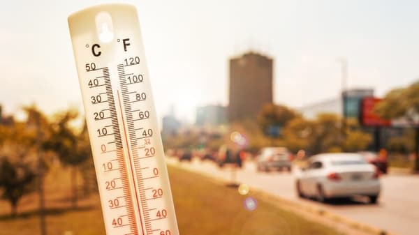 What the heatwave reveals about Europe and what we can do about it