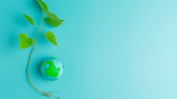 Commission confronts incomplete transposition of EU energy laws