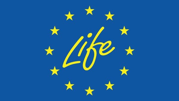 LIFE Clean Energy Transition Call 2024 published