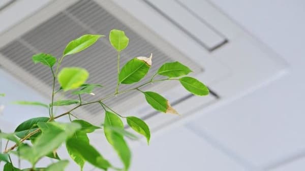 Air quality in buildings on radar of European legislators
