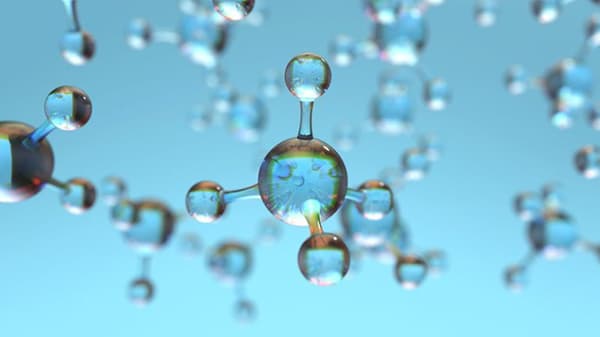 Omnibus Chemical Industry and PFAS