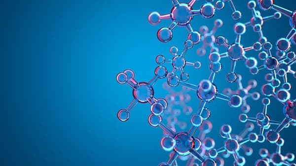 EU Chemical policy: responses by the Commissioners