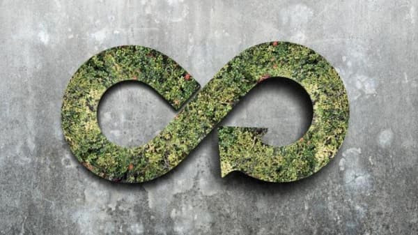 FAQ published for Packaging and Packaging Waste Regulation