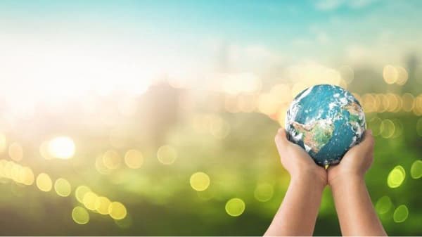Packaging and Packaging Waste seminar